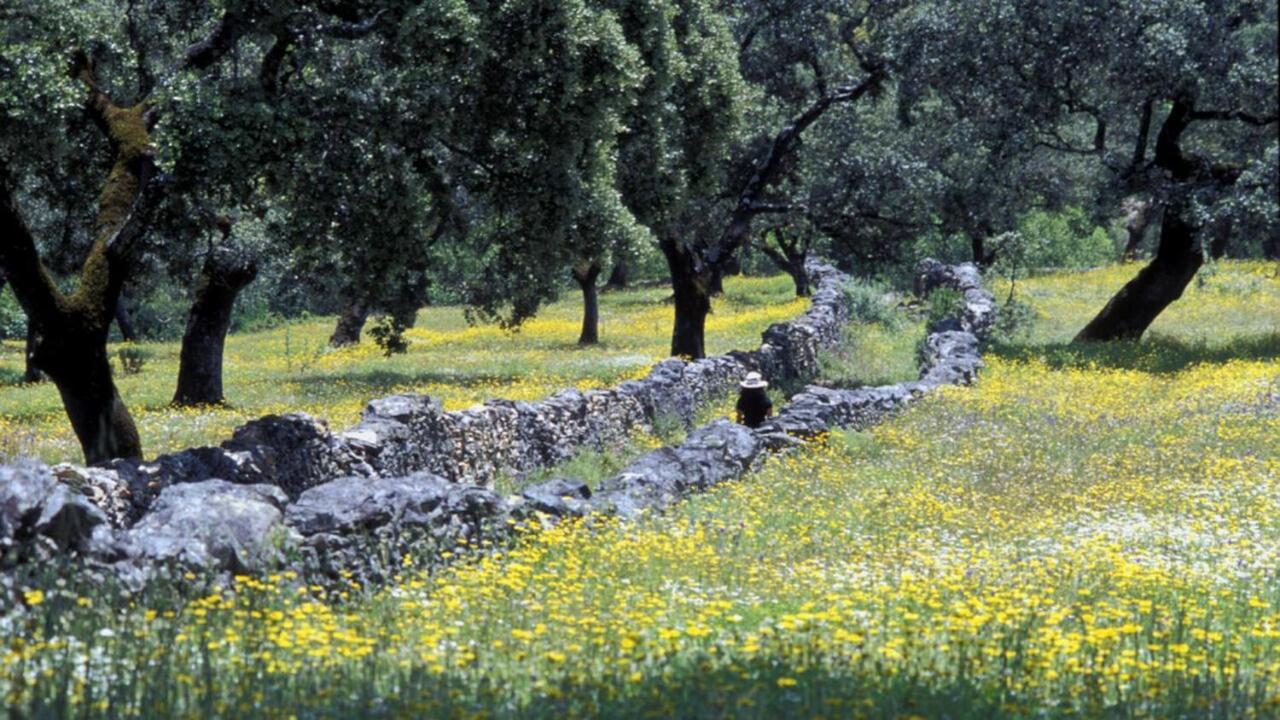 Molino Rio Alajar 게스트하우스 외부 사진